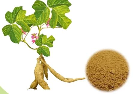 Puerarin benefits.png